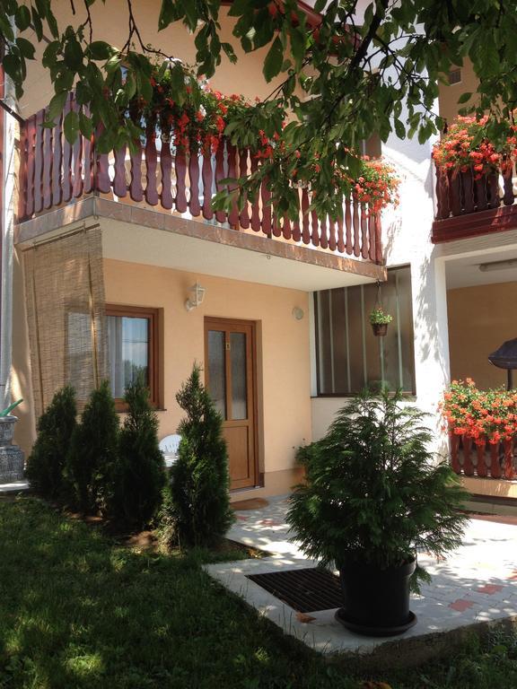 Guesthouse Ante Hodak Селище Дрезницко Екстериор снимка