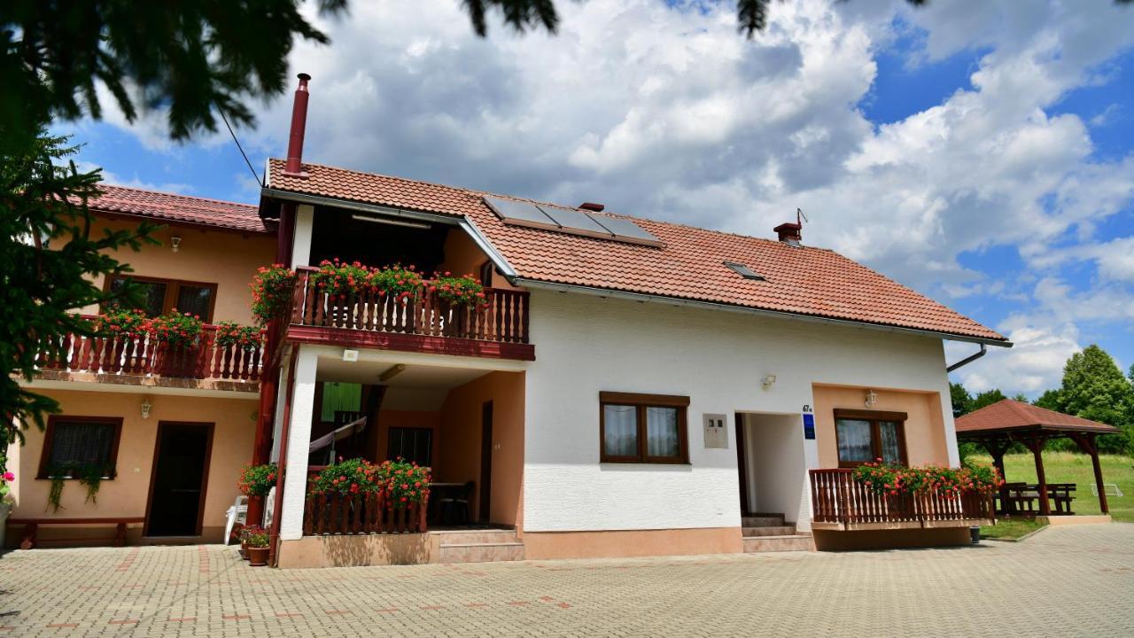 Guesthouse Ante Hodak Селище Дрезницко Екстериор снимка