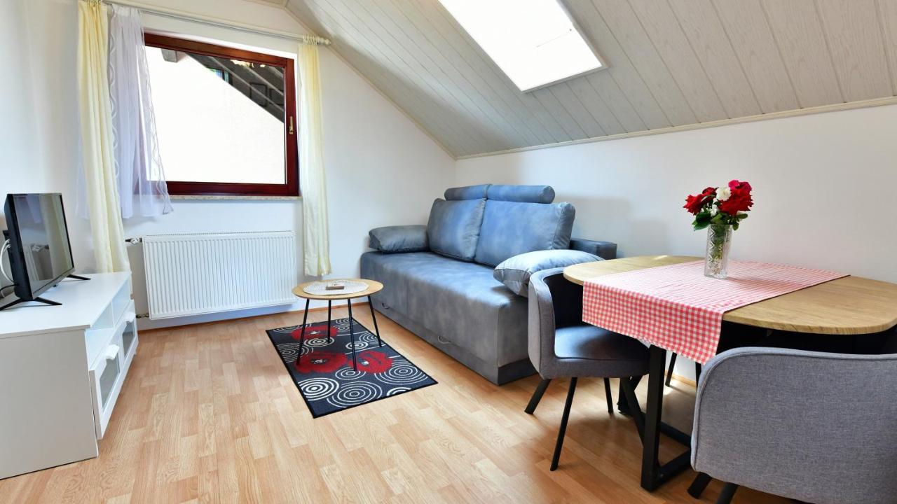 Guesthouse Ante Hodak Селище Дрезницко Екстериор снимка