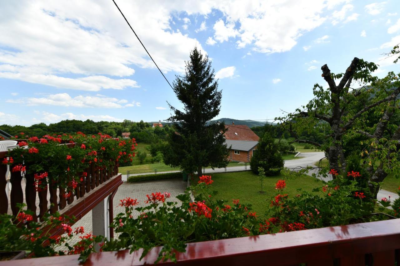 Guesthouse Ante Hodak Селище Дрезницко Екстериор снимка