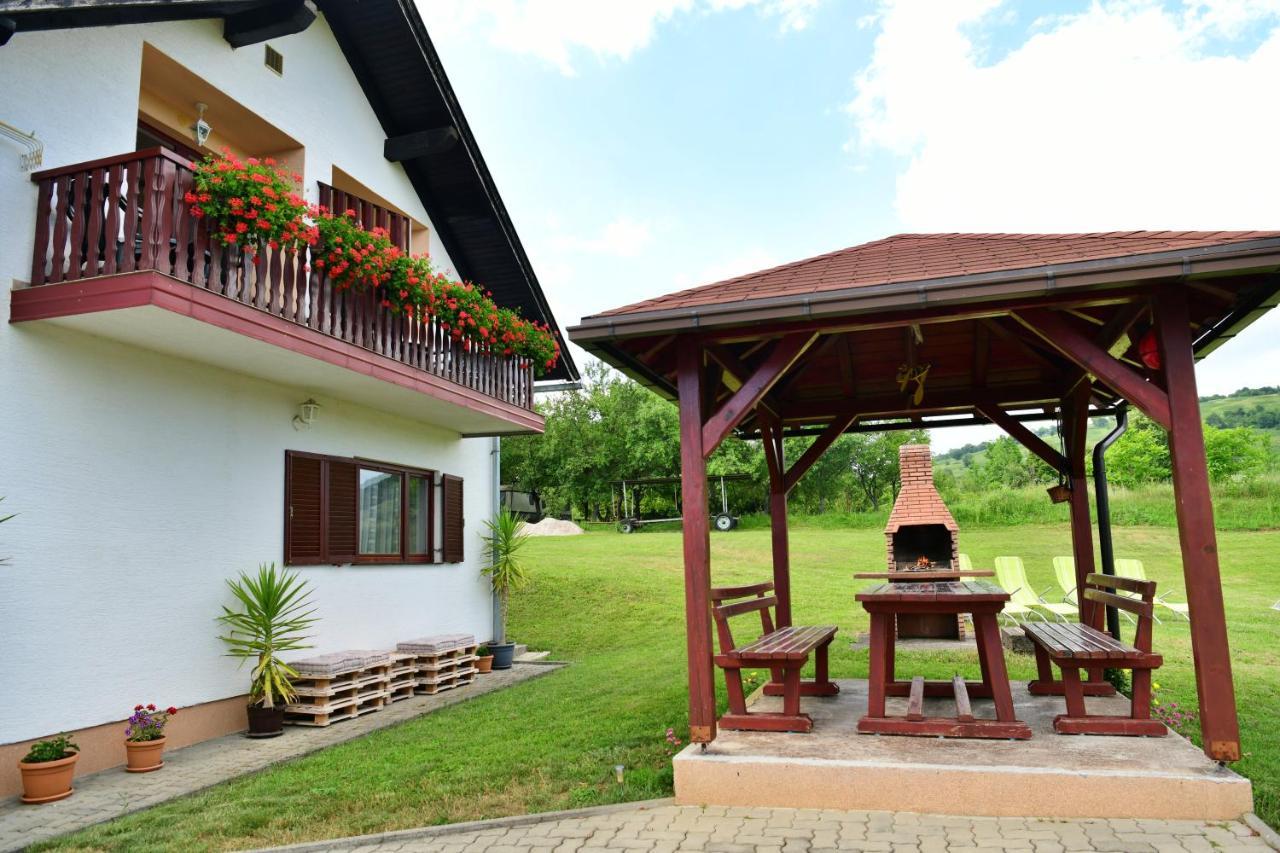 Guesthouse Ante Hodak Селище Дрезницко Екстериор снимка