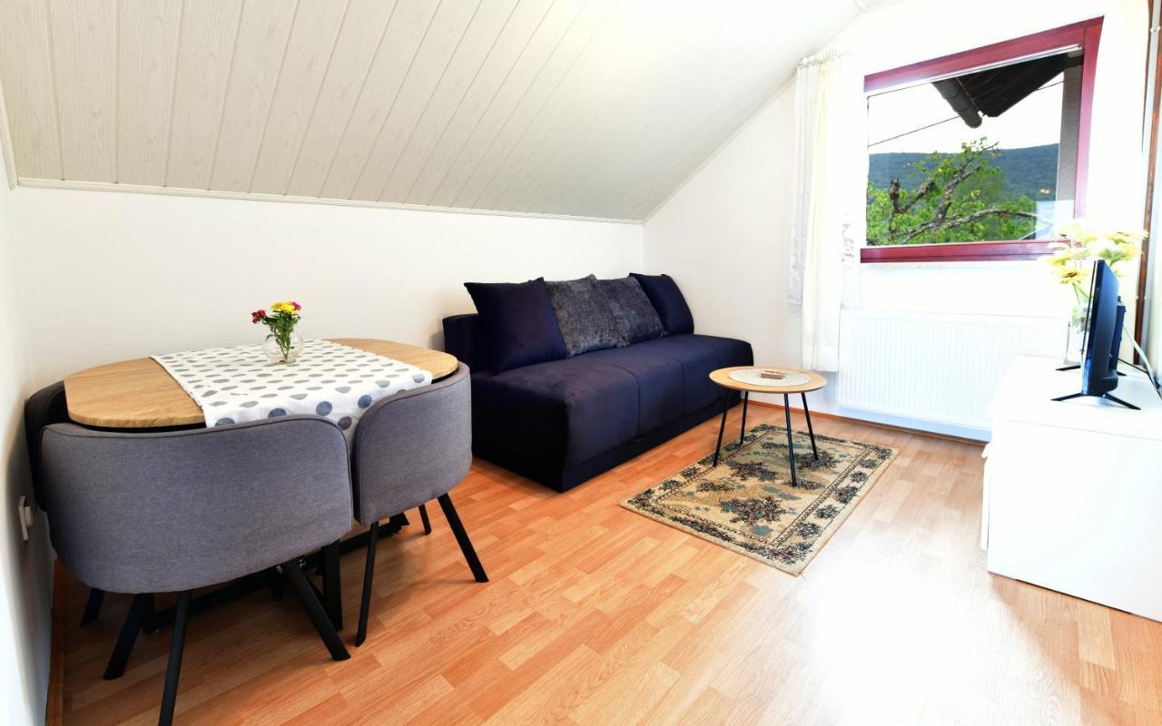 Guesthouse Ante Hodak Селище Дрезницко Екстериор снимка