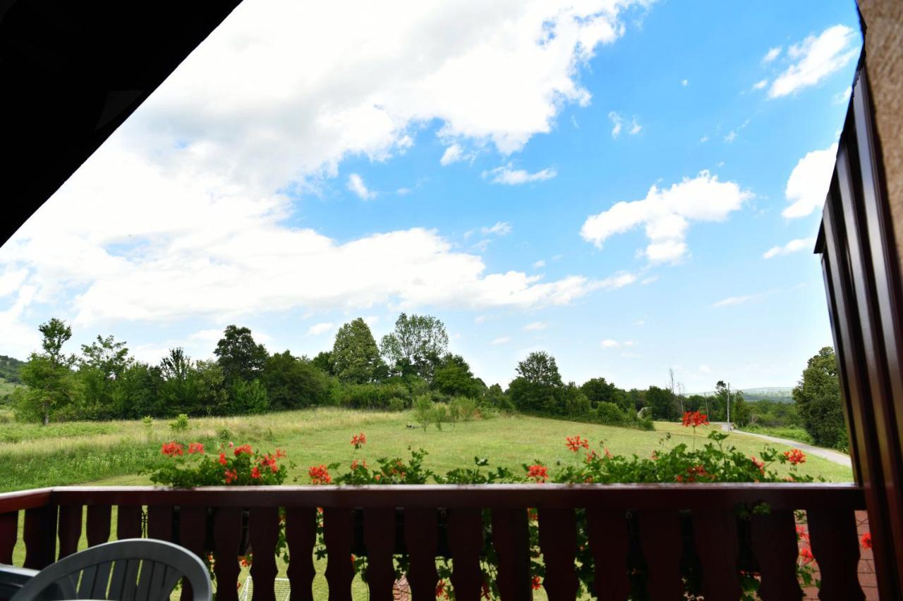 Guesthouse Ante Hodak Селище Дрезницко Екстериор снимка